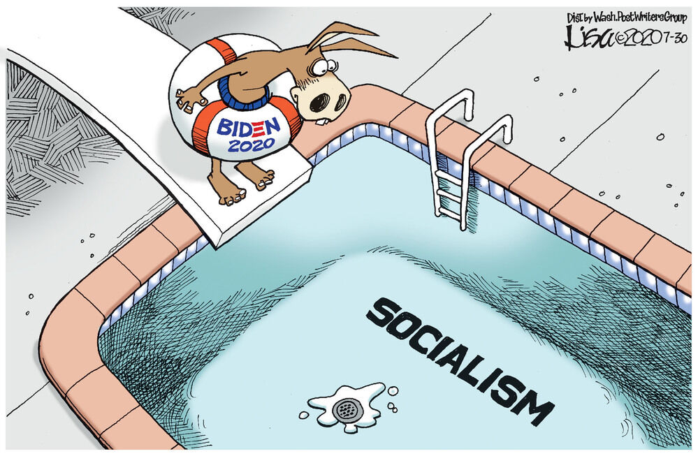 EDITORIAL CARTOON: Lisa Benson
